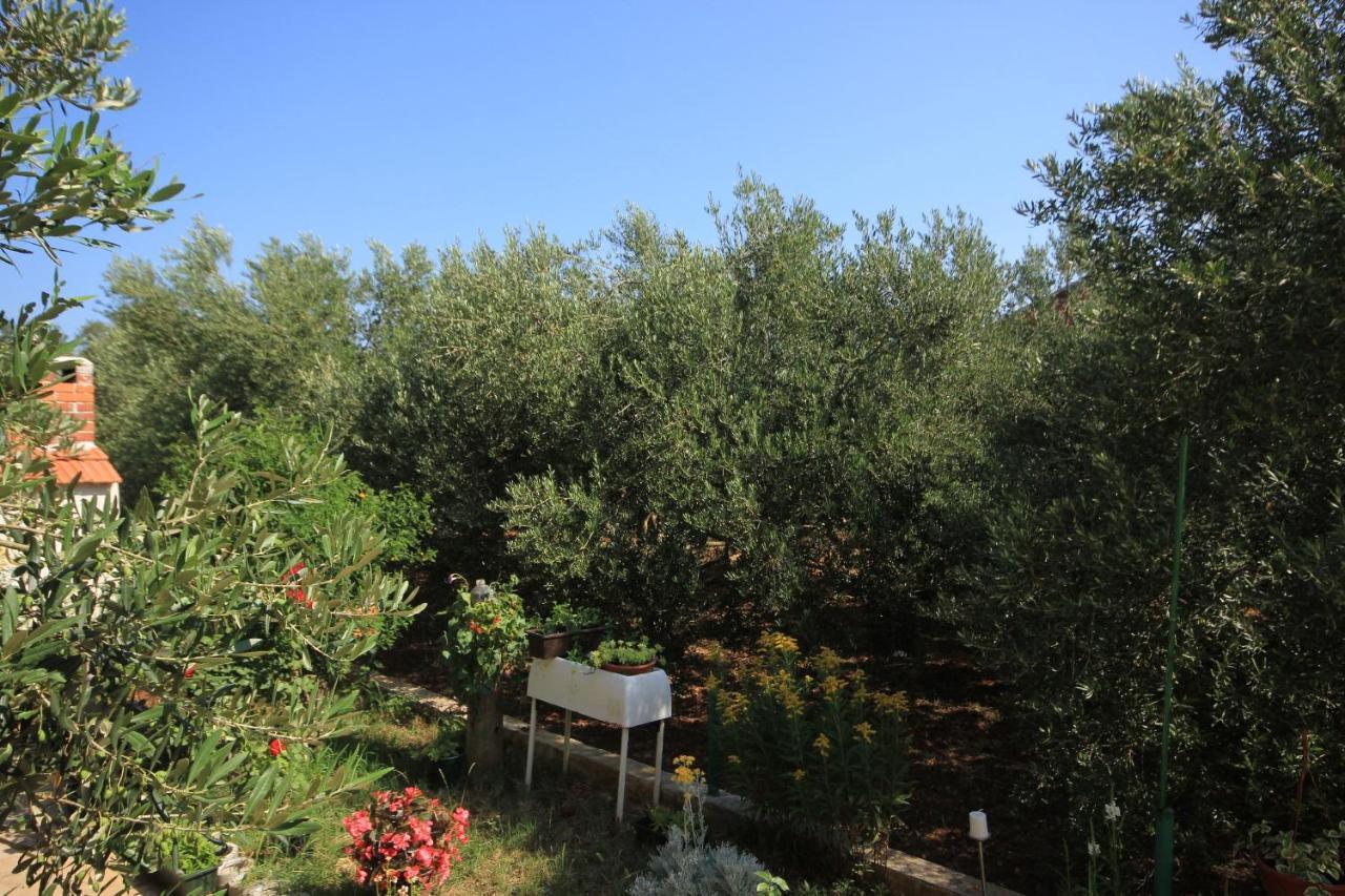 Apartments With A Parking Space Kraj, Pasman - 8213 Tkon Εξωτερικό φωτογραφία
